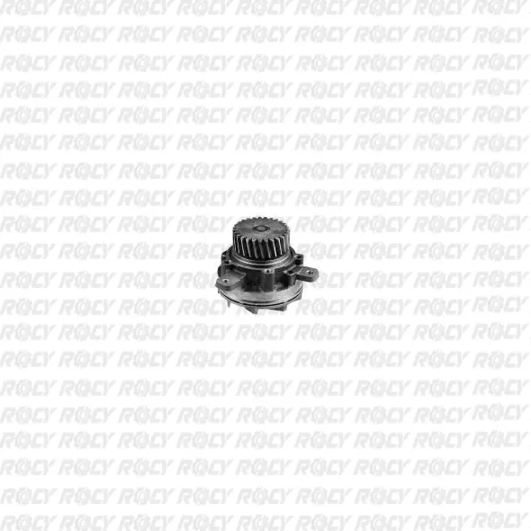 R 01 01-1171